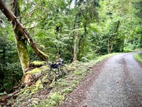 Le Grand Montgilbert via Les Cathelins