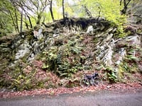 Le Grand Planbois da Rognaix