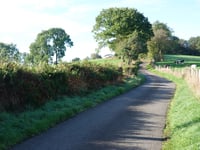 Le Houyeu / Bois de Halleux