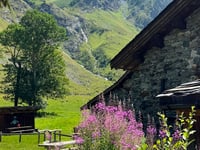 Le Laisonnay d'En Bas vanuit Bozel