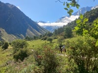 Le Laisonnay d'En Bas von Bozel