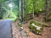 Le Lignon da Sixt-Fer-à-Cheval