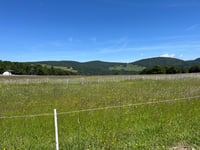 Le Markstein from Buhl / Lautenbach
