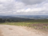 Le Mont d'Or von Longevilles Mont d'Or