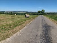 Le Mont Roland von Preures