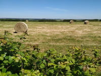 Le Mont Roland von Preures