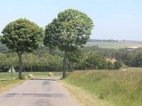 Le Mont Roland von Preures