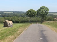 Le Mont Roland von Preures