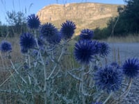 Le Petit Robion da Castellane