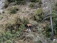 Le Petit Robion da Castellane