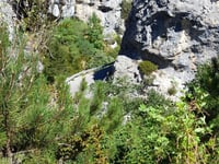 Le Petit Robion z Castellane