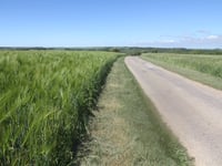 Le Poovre da Lumbres