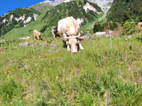 Le Prioux von Moutiers