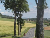 Le Rietz d'Audenfort