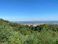 Le Salbert from Cravanche