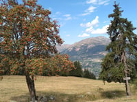 Le Sauget von Sangot / Mâcot-la-Plagne