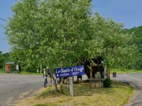 Le Saule d'Oingt da L'Azergues