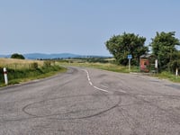 Le Saule d'Oingt da L'Azergues