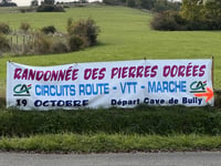 Le Saule d'Oingt z Ternand