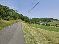 Le Saule d'Oingt from Ville-sur-Jarnioux