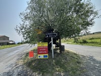 Le Saule d'Oingt z Ville-sur-Jarnioux