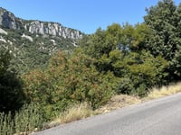 Le Serre de Tourre