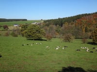 Le Stockai da Wyompont