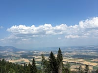 Le Suchet