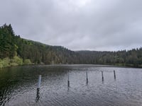 Le Tanet von Ampfersbach