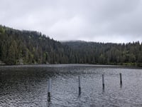 Le Tanet da Soultzeren via Chemin du Mageisberg