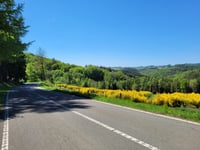Le Tour