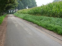 Leemberg przez Koeleweg