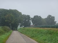 Leemberg über Laagstraat
