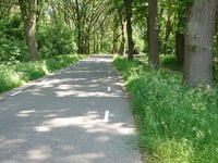 Leemkuil