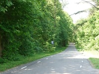 Leemkuil