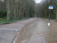 Leemzeulder z Blaricum