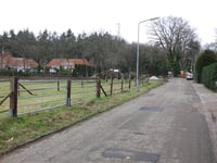Leemzeulder z Blaricum
