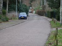Leemzeulder z Blaricum