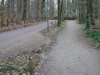 Leemzeulder z Blaricum