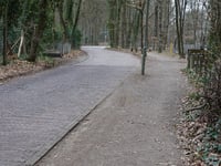 Leemzeulder z Blaricum
