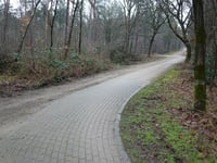 Leersumse Berg über Let de Stigterpad