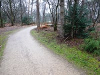 Leersumse Berg über Let de Stigterpad