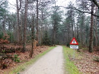 Leersumse Berg über Let de Stigterpad