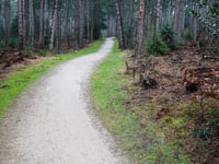 Leersumse Berg über Let de Stigterpad