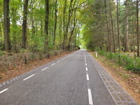 Leersumse Berg von Overberg