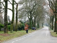 Leersumse Berg von Leersum
