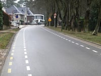 Leersumse Berg von Leersum