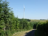 Léilerpad from Jansschleederbaach