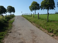 Léilerpad from Jansschleederbaach