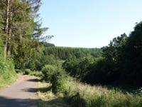 Léilerpad from Jansschleederbaach